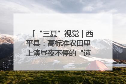 “三夏”视觉｜西平县：高标准农田里上演昼夜不停的“速度与激情”